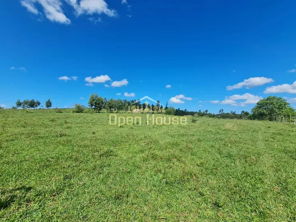 Fazenda, 126 hectares - Foto 46