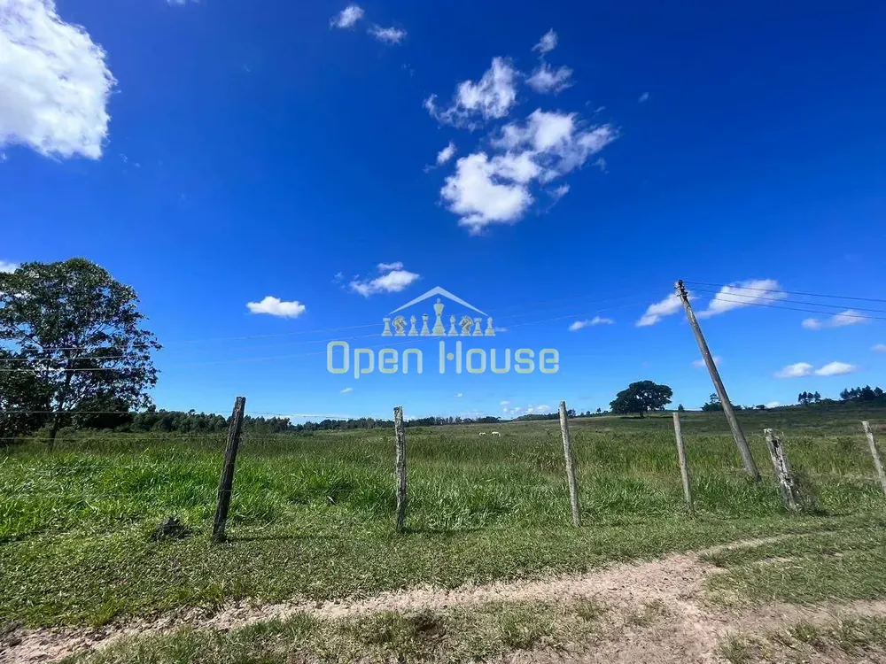 Fazenda, 126 hectares - Foto 32