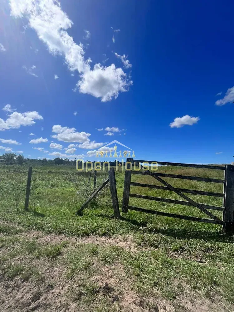 Fazenda, 126 hectares - Foto 38