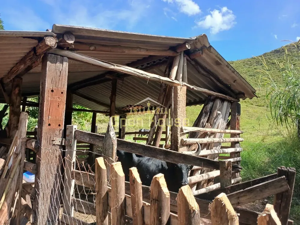 Sítio, 4 quartos, 30 hectares - Foto 11