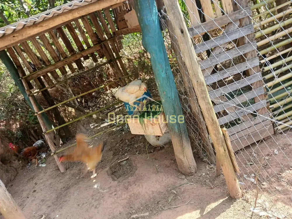 Sítio, 4 quartos, 30 hectares - Foto 40