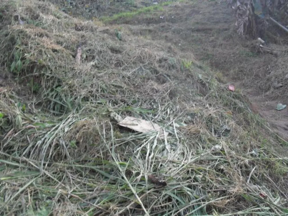 Terreno, 250 m² - Foto 3