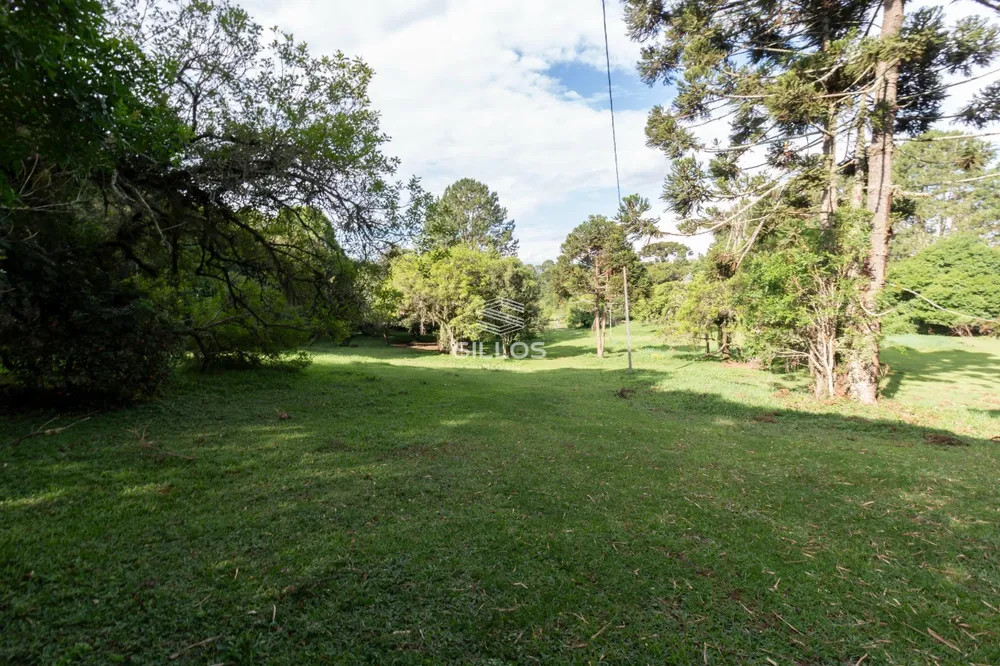 Chácara, 1 quarto, 6 hectares - Foto 4