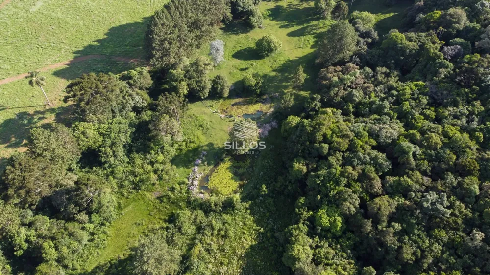 Chácara, 1 quarto, 6 hectares - Foto 3