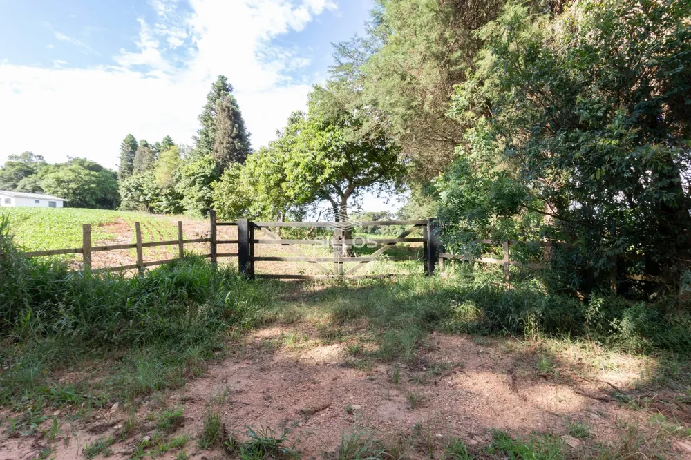 Chácara, 1 quarto, 6 hectares - Foto 1