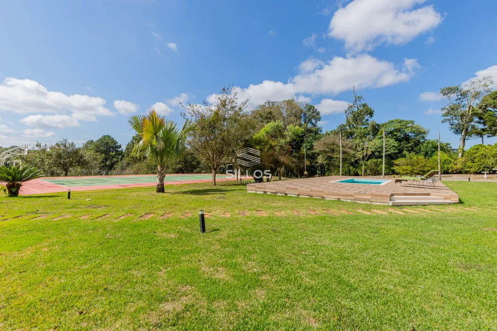 Chácara, 4 quartos, 2 hectares - Foto 4