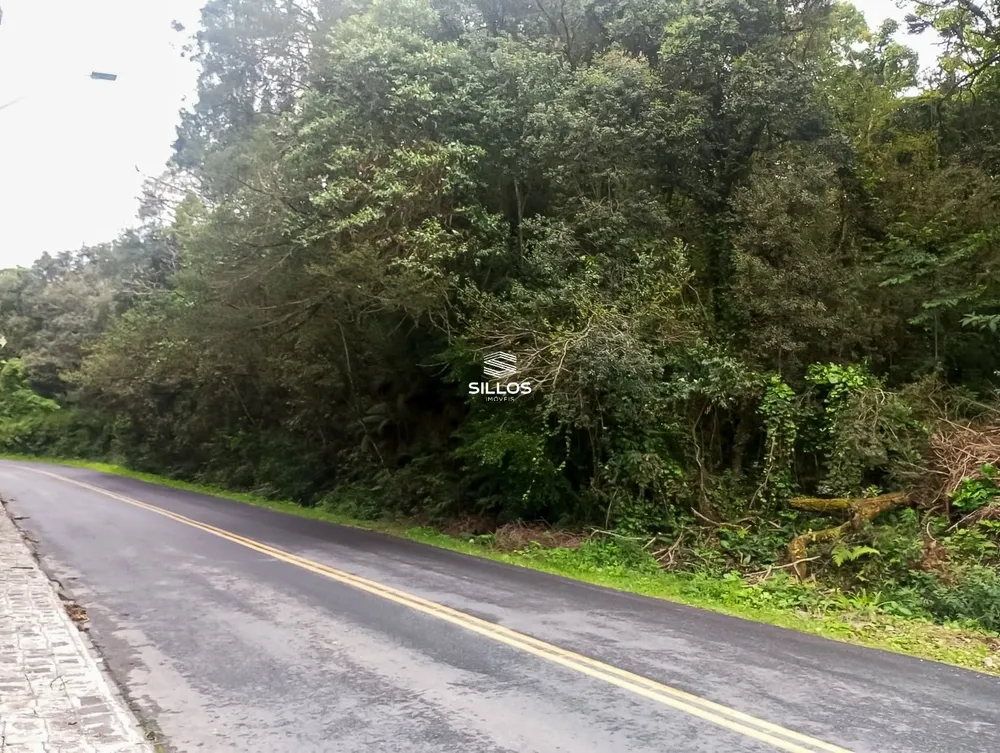 Terreno, 7 hectares - Foto 8