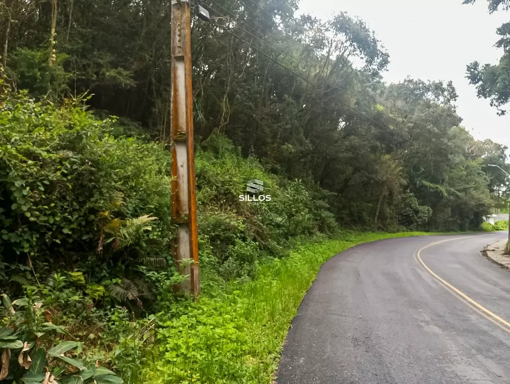 Terreno, 7 hectares - Foto 2