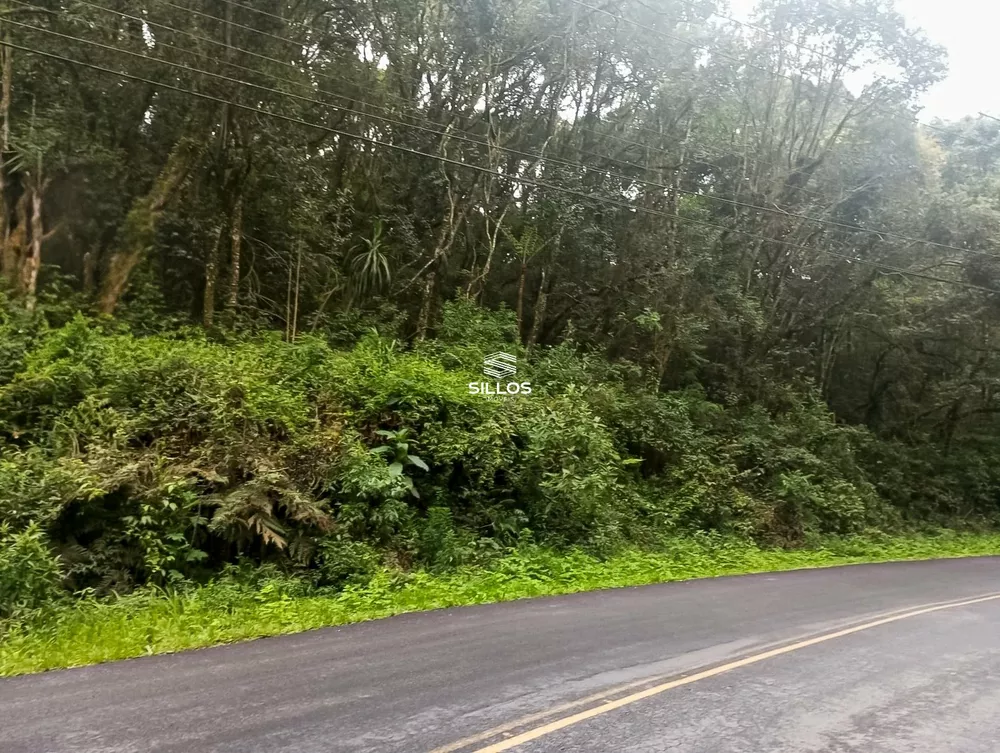 Terreno, 7 hectares - Foto 4