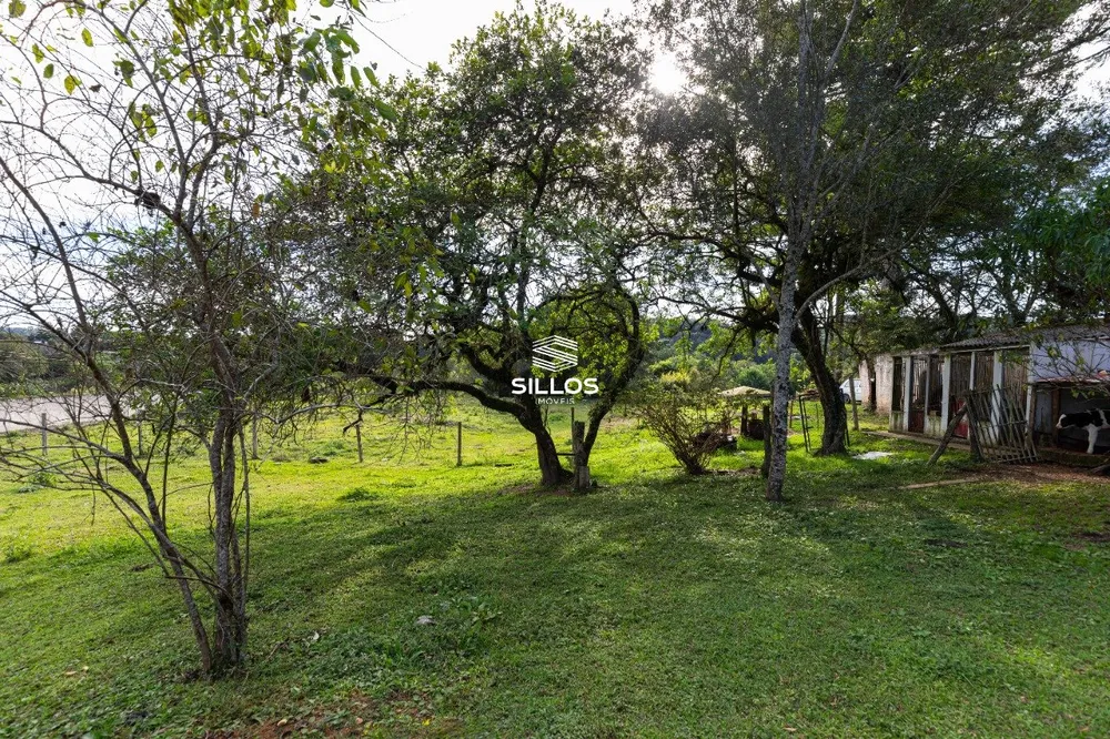 Chácara, 4 quartos, 8 hectares - Foto 11