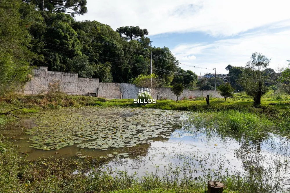 Chácara, 4 quartos, 8 hectares - Foto 10