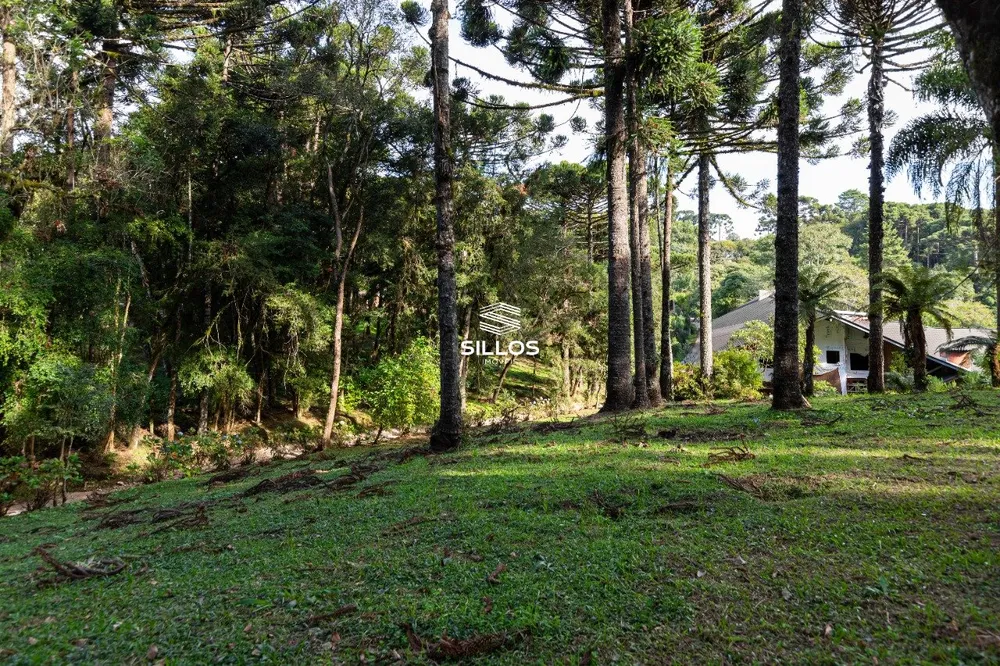 Chácara, 4 quartos, 8 hectares - Foto 1