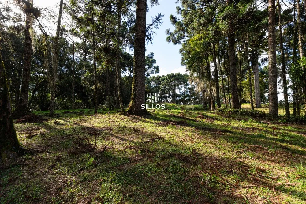 Chácara, 4 quartos, 8 hectares - Foto 2