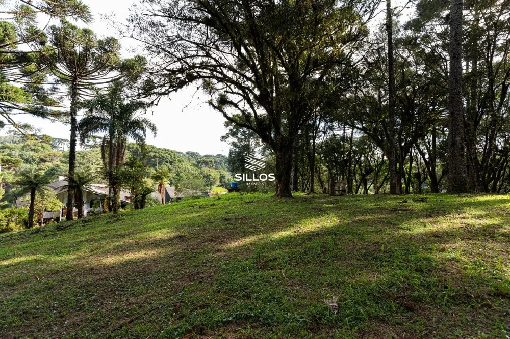 Chácara, 4 quartos, 8 hectares - Foto 3