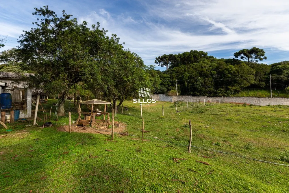 Chácara, 4 quartos, 8 hectares - Foto 9