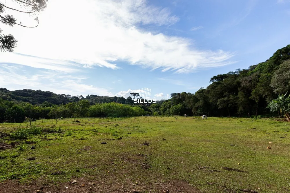 Chácara, 4 quartos, 8 hectares - Foto 8