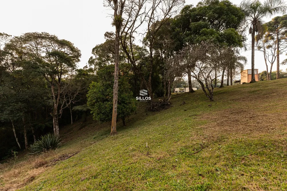 Terreno, 5 hectares - Foto 2