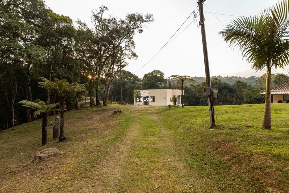 Terreno, 5 hectares - Foto 3