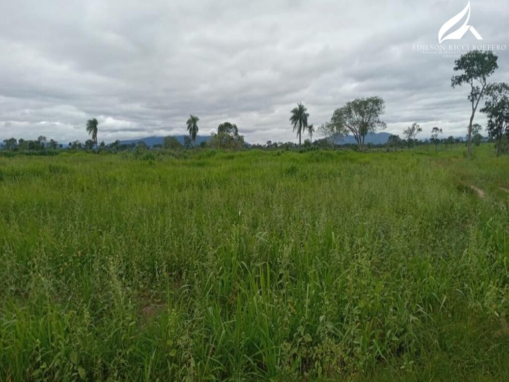 Fazenda à venda - Foto 4