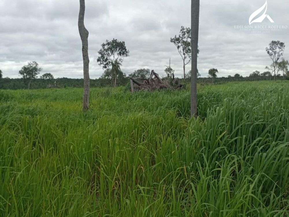 Fazenda à venda - Foto 8