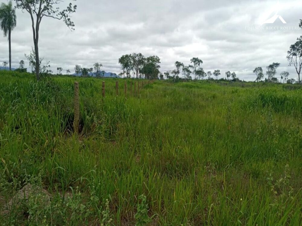 Fazenda à venda - Foto 7