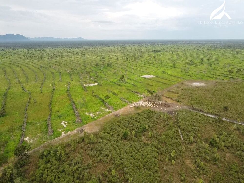 Fazenda à venda - Foto 2