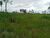 Fazenda - Foto 7