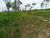 Fazenda - Foto 6