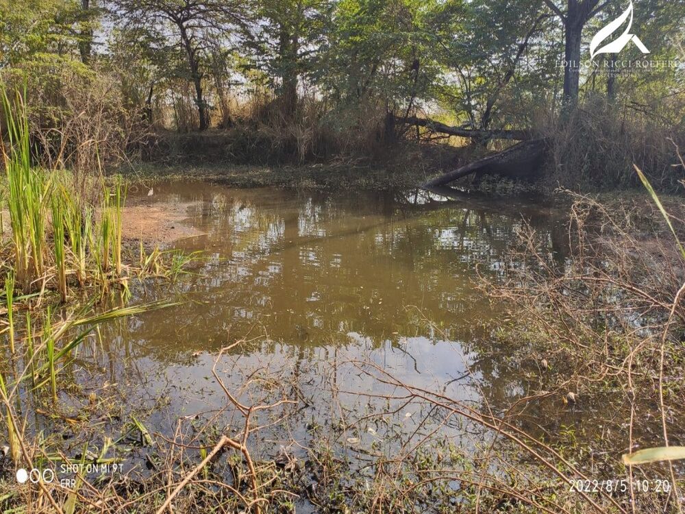 Chácara, 3 quartos - Foto 8