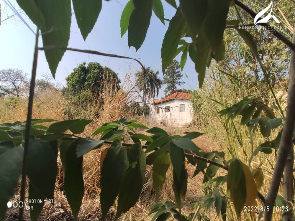 Chácara, 3 quartos - Foto 1