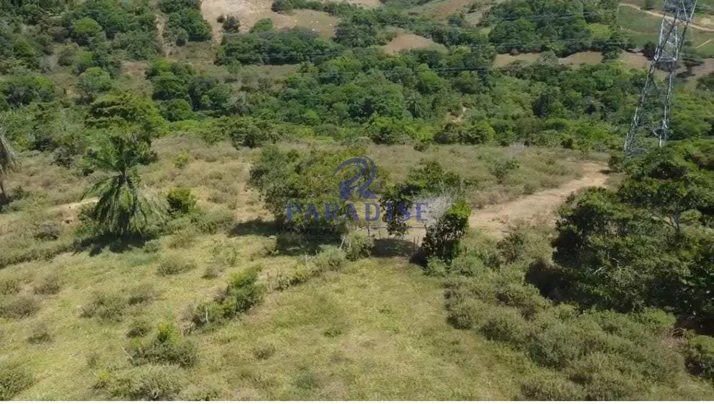 Fazenda, 41 m² - Foto 6