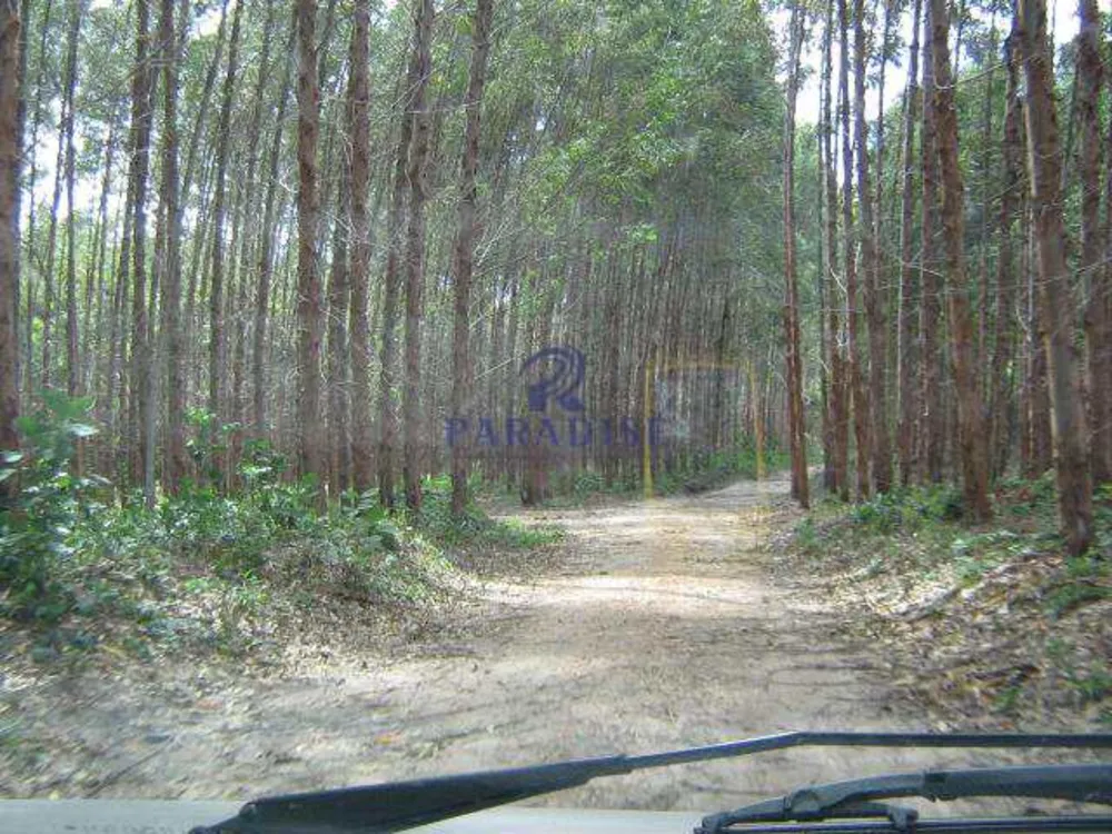 Terreno, 65 hectares - Foto 3