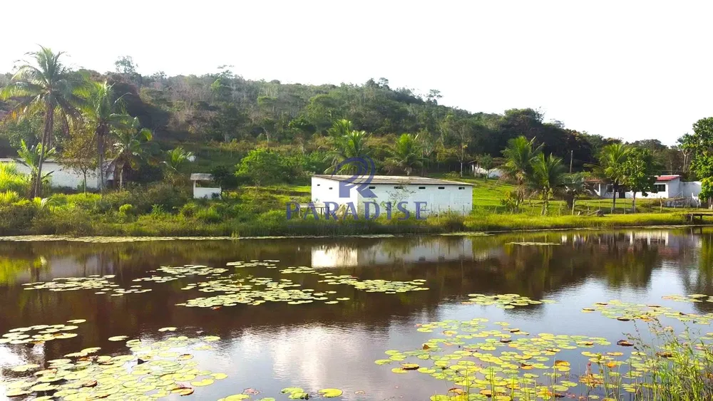 Sítio, 2 quartos, 5 hectares - Foto 10