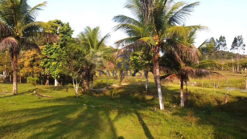 Sítio, 2 quartos, 5 hectares - Foto 4