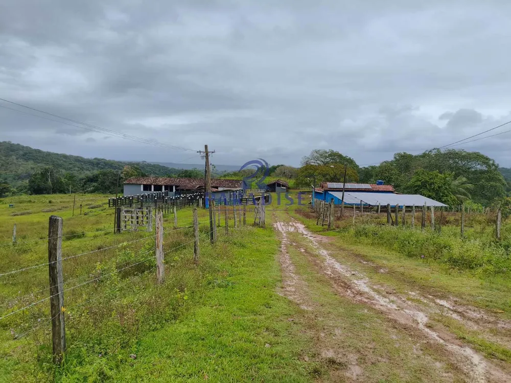 Fazenda, 353 m² - Foto 6