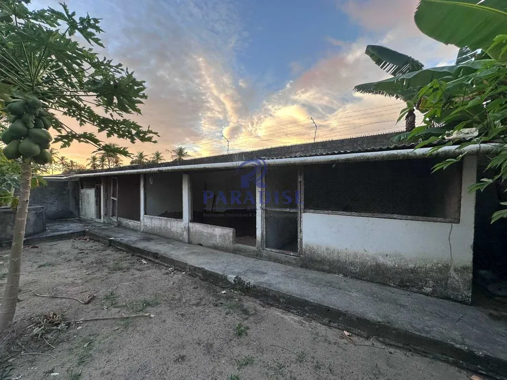 Chácara, 3 quartos, 4500 m² - Foto 1
