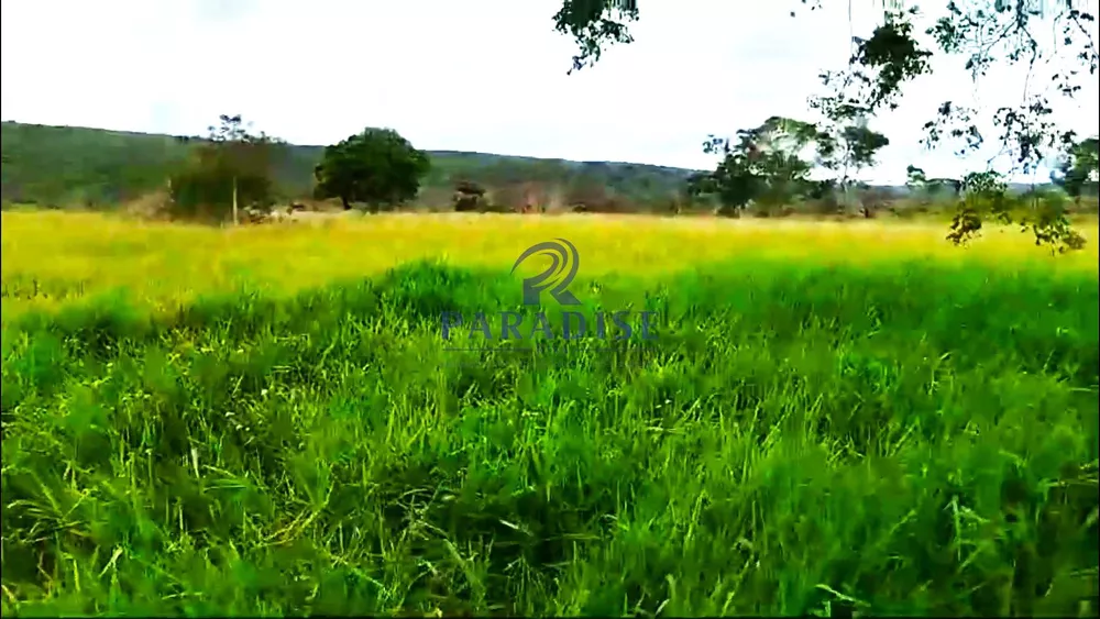 Fazenda à venda, 1940000m² - Foto 3