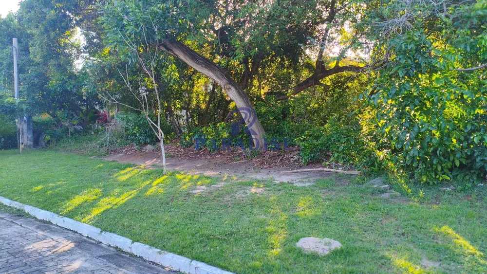 Terreno, 1000 m² - Foto 3
