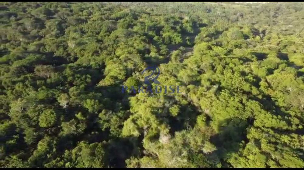 Terreno, 5 hectares - Foto 1