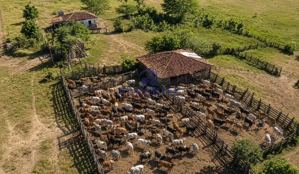 Fazenda, 1000 m² - Foto 5