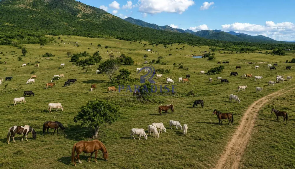 Fazenda, 1000 m² - Foto 4