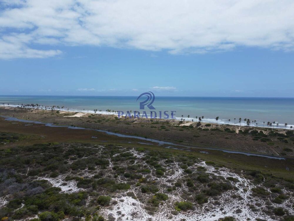 Terreno, 13 hectares - Foto 4