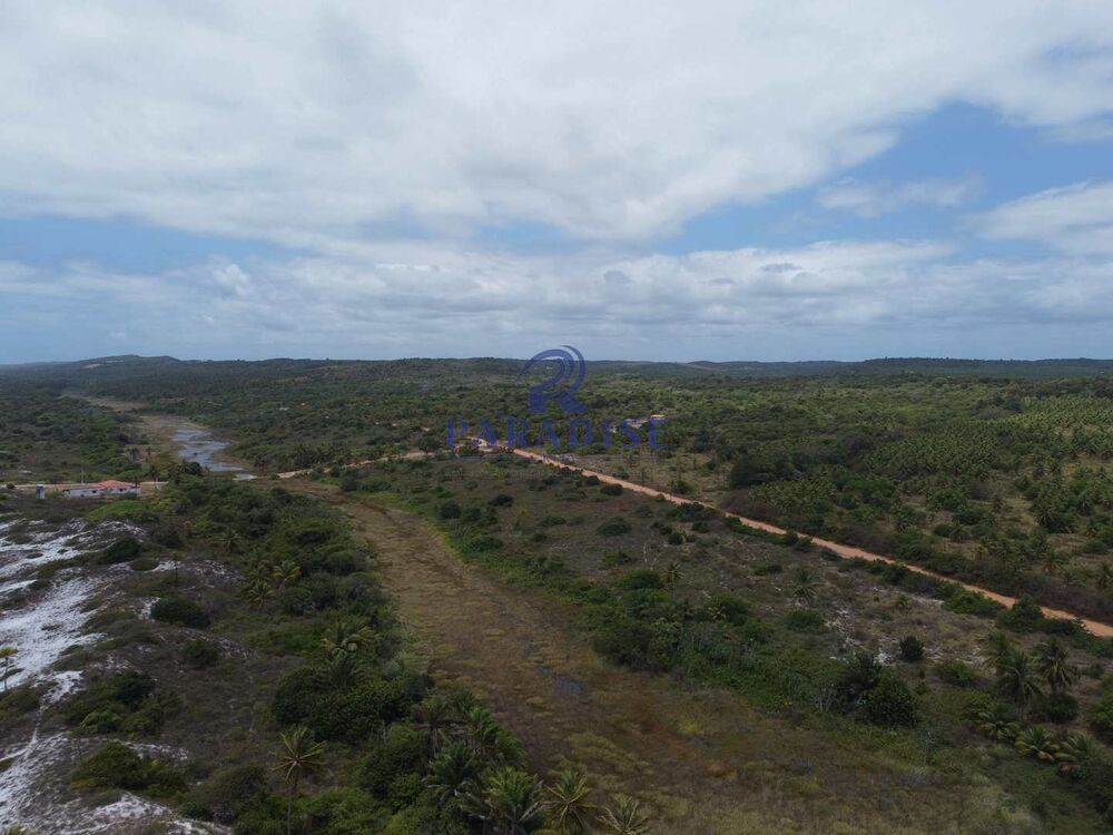 Terreno, 13 hectares - Foto 9