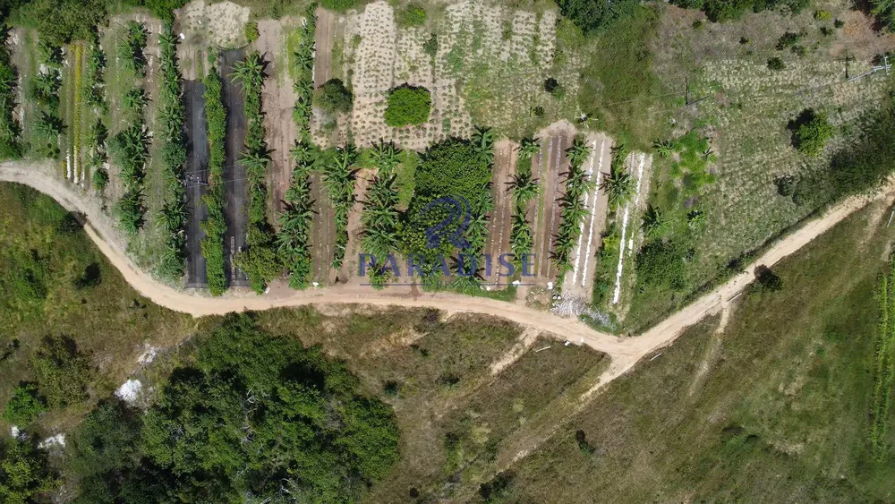 Sítio, 2 quartos, 13 hectares - Foto 6