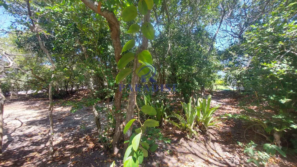 Terreno, 544 m² - Foto 13