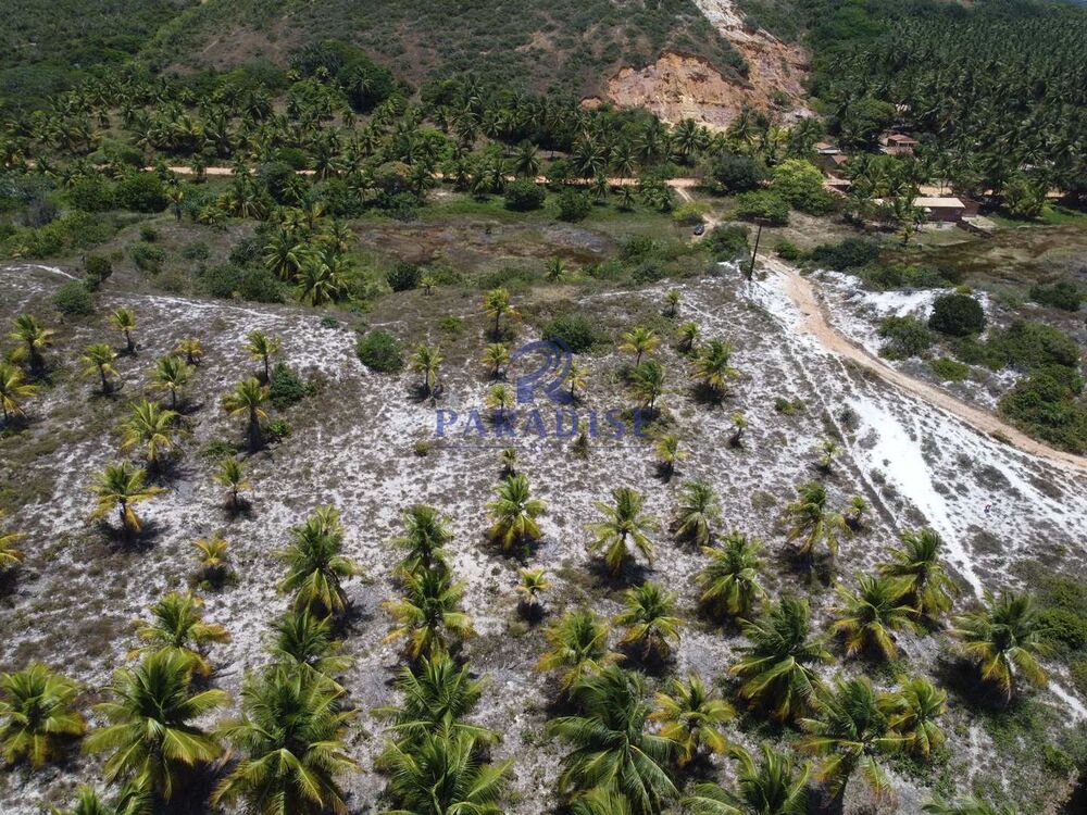 Terreno, 16 hectares - Foto 17