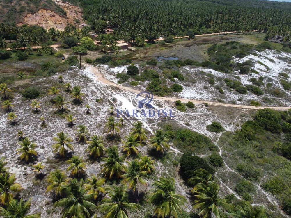 Terreno, 16 hectares - Foto 16