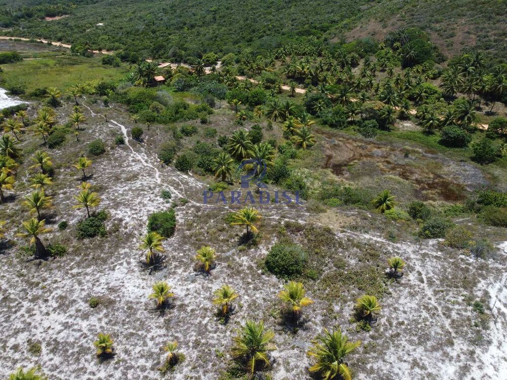 Terreno, 16 hectares - Foto 14