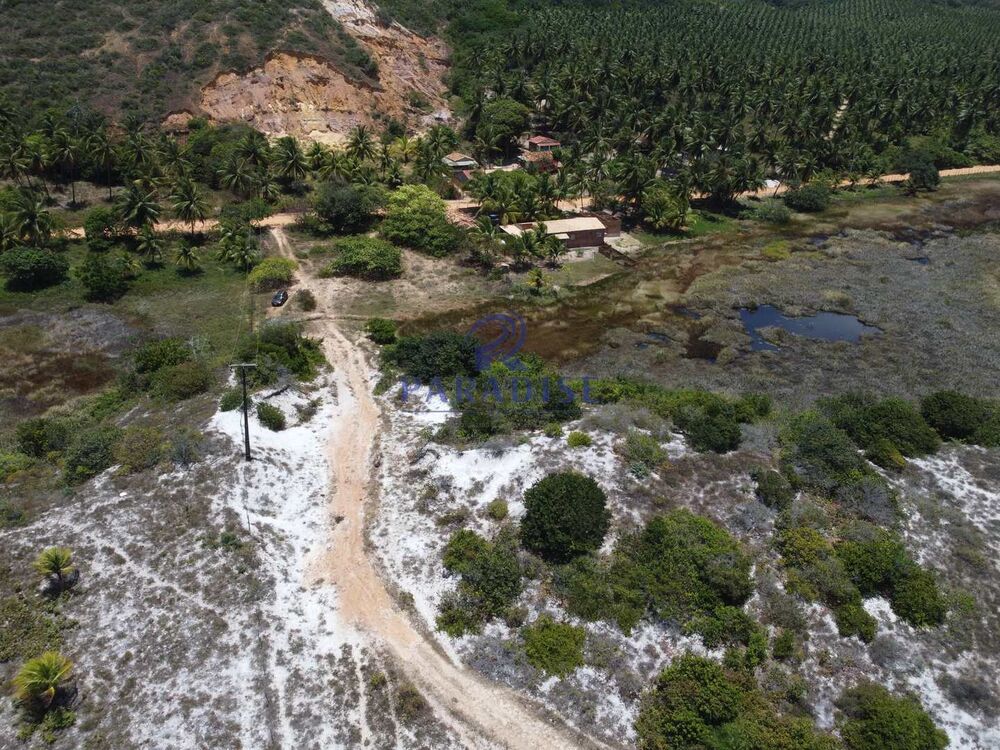 Terreno, 16 hectares - Foto 13
