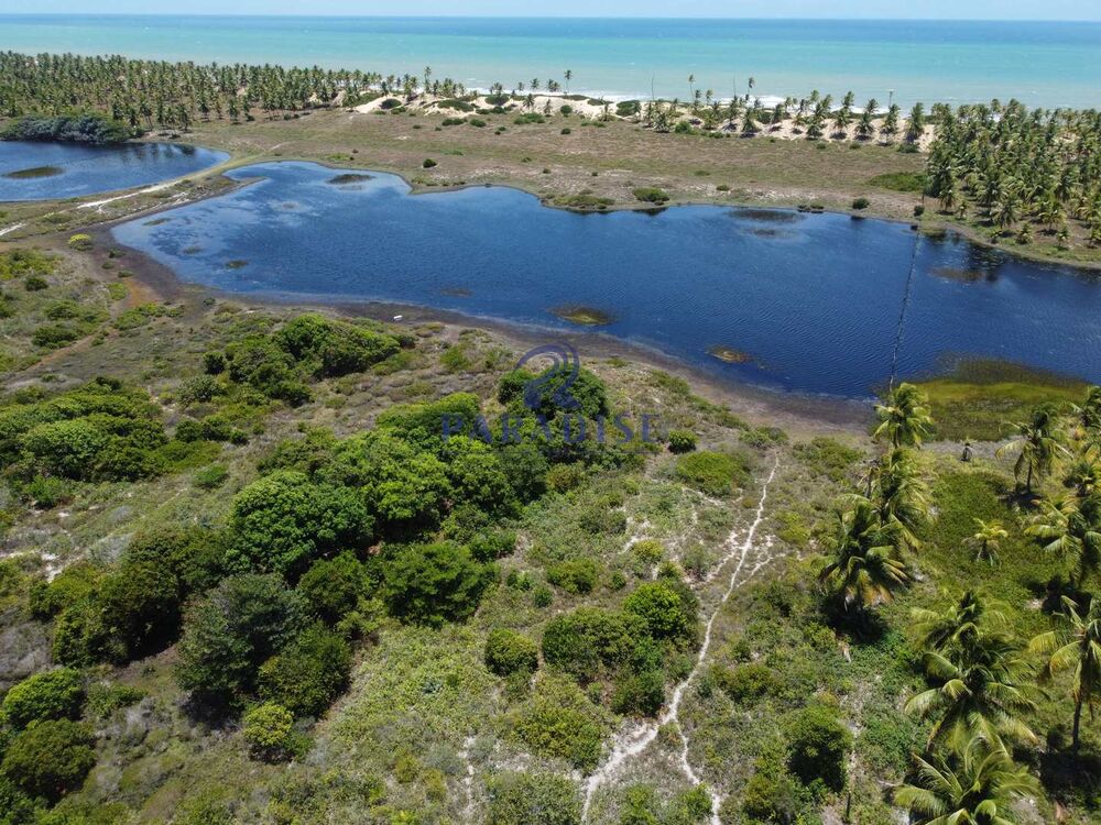 Terreno, 16 hectares - Foto 1